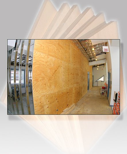 Commercial Plywood